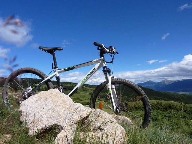mountain-biking-598506_640