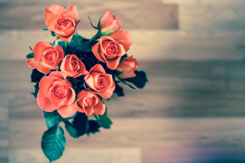 roses-690085_1280