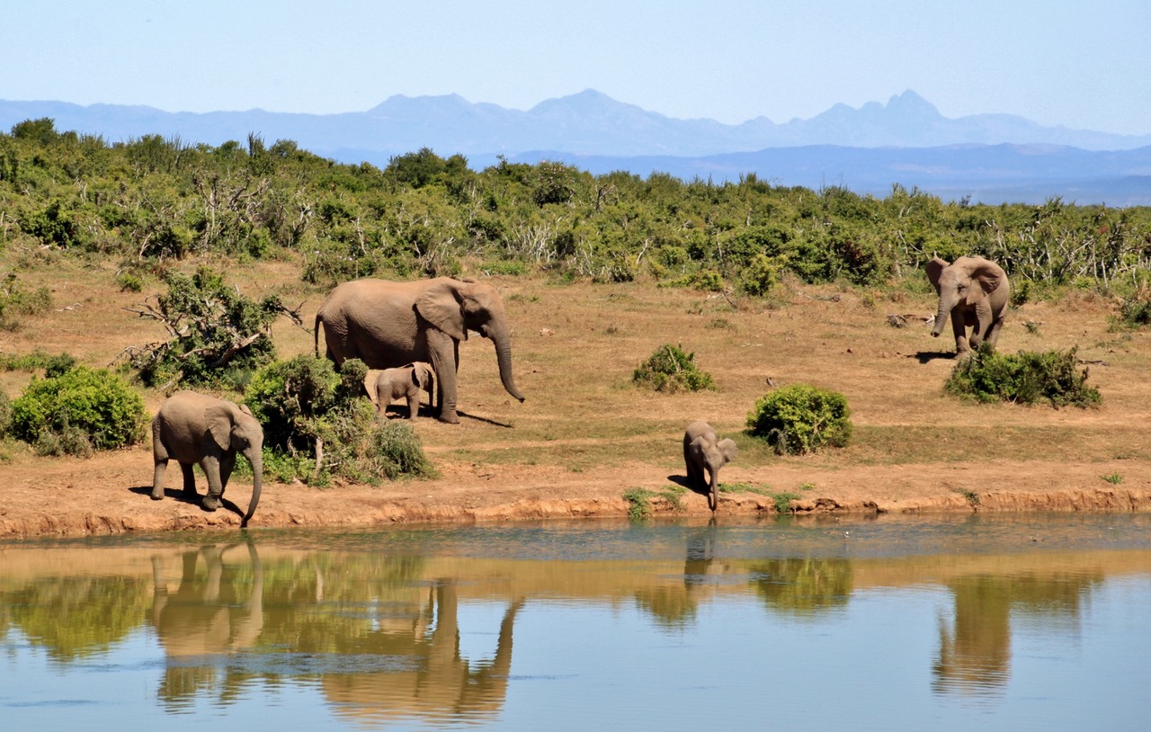 African Adventures: Tips and Tricks For Travelling The Continent