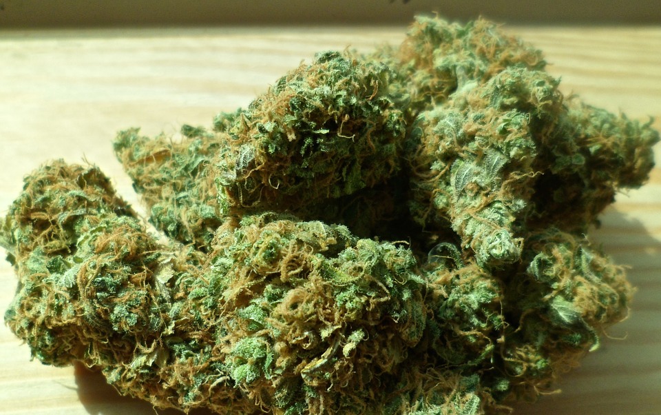 Does Medical Marijuana Expire?
