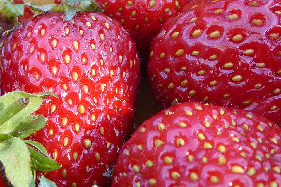 Growing Your Own Colourful and Delicious Summer Fruits